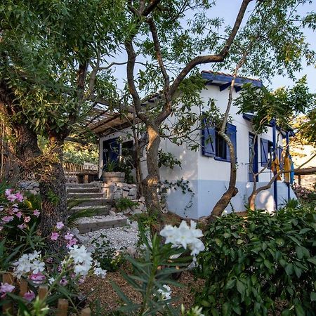 Les Maisons De Pecheurs Sète Dış mekan fotoğraf